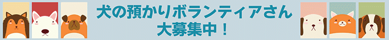 犬の一時預りさん大募集!