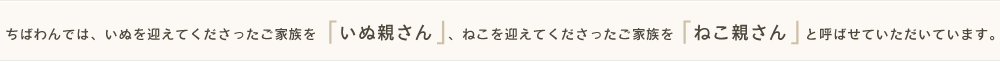 ちばわんでは、いぬを迎えてくださったご家族を「いぬ親さん」、ねこを迎えてくださったご家族を「ねこ親さん」と呼ばせていただいています。