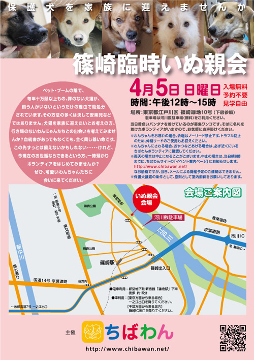 event-150405-shinozakirinji_poster