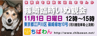 event-151101-shinozakirinji_banner_01
