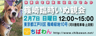 event-160207-shinozakirinji_banner_01
