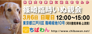 event-160306-shinozakirinji_banner_01