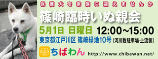 event-160501-shinozakirinji_banner_01