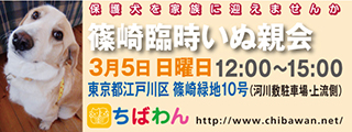 event-170305shinozakirinji_banner_01