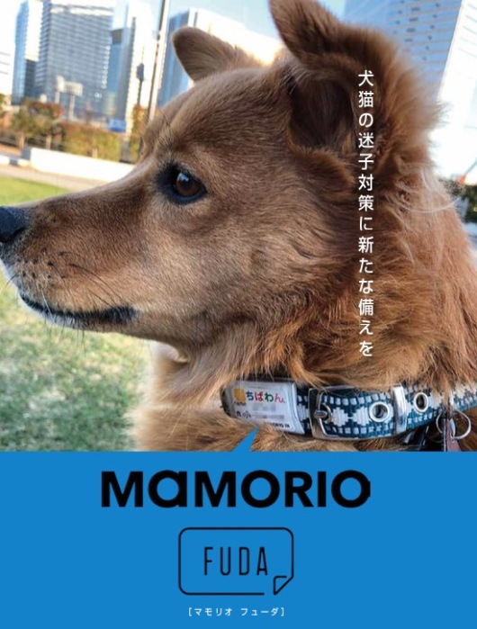 mamorio_1