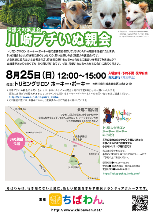 kawasaki_p_01_poster