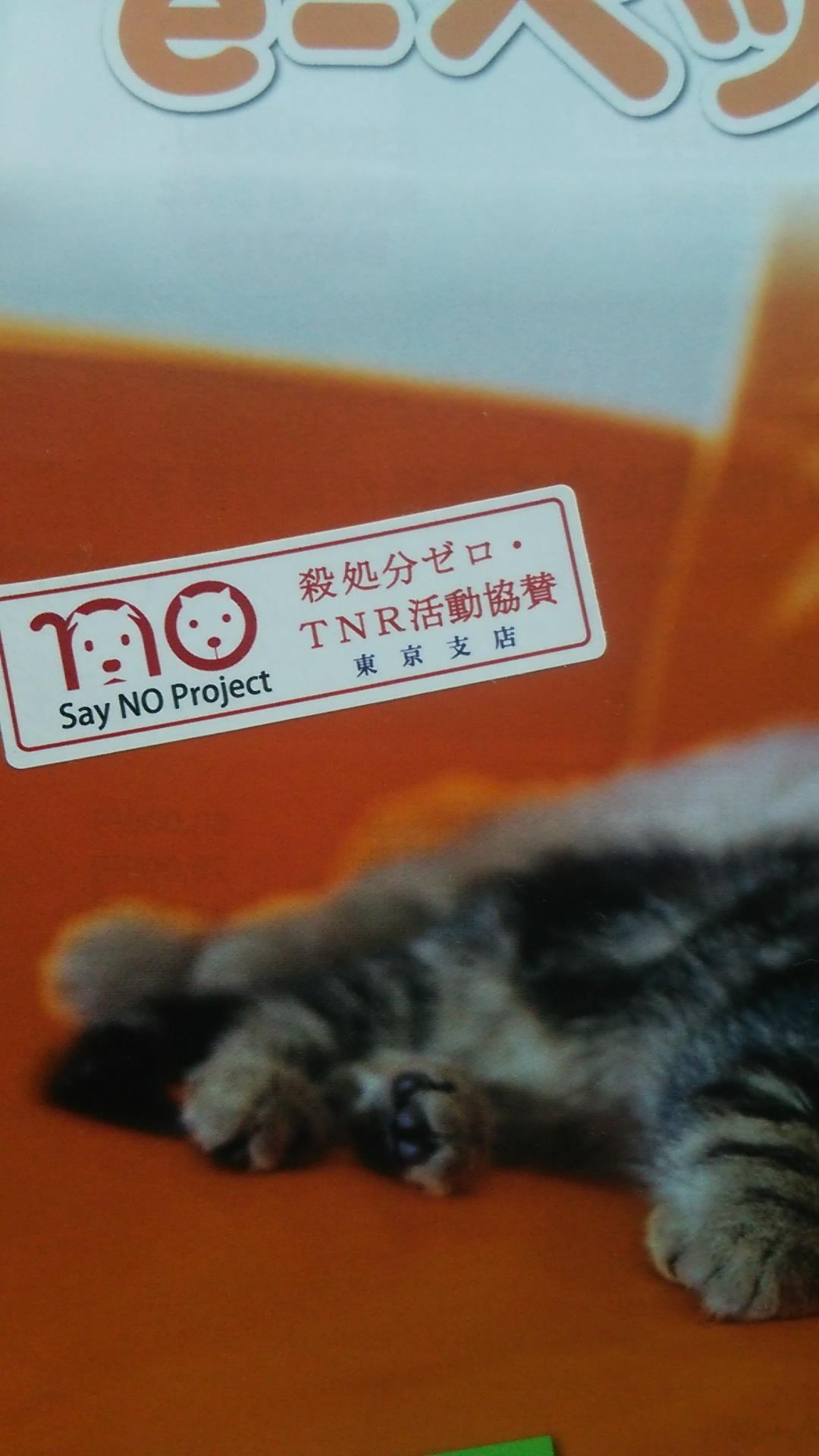 パンフレット画像拡大図
