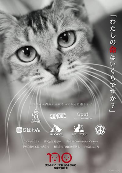 ポスターのイメージ