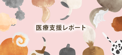医療支援レポート
