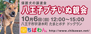 2024年10月6日八王子プチいぬ親会