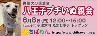 20250608八王子プチいぬ親会