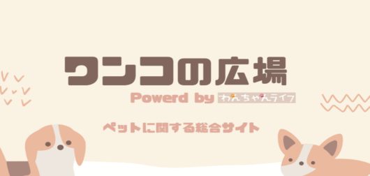 ワンコの広場