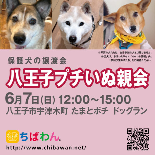 20260607八王子プチいぬ親会