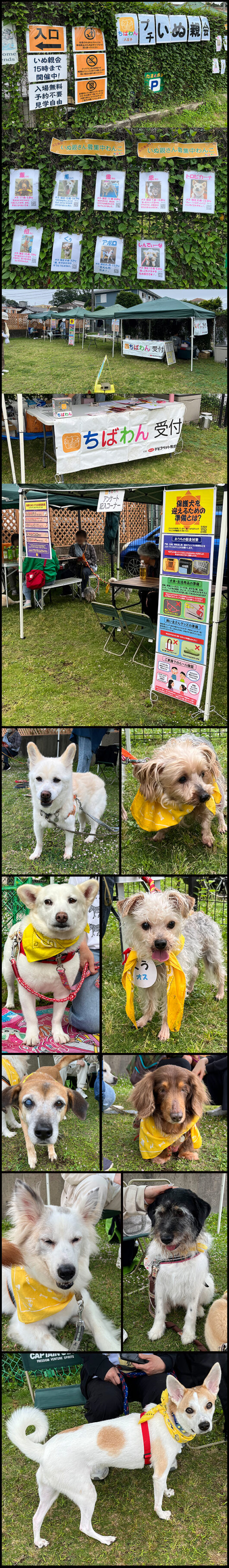 20250608八王子プチいぬ親会